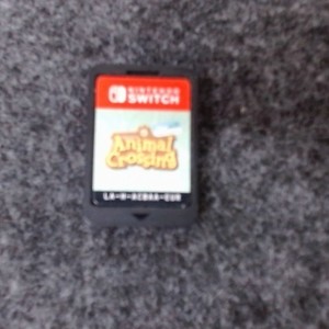 Animal Crossing: New Horizons - Nintendo Switch