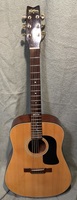  Vintage Washburn D18S 1989 W? Hard Case