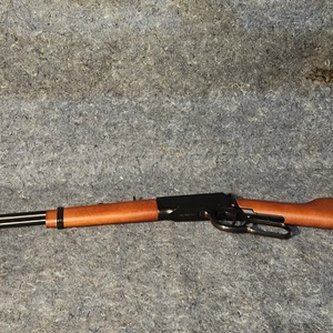  Rossi Rio Bravo RIfle .22 WMR 12rd Magazine 20" Barrel Hardwood 