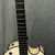 Parker Guitars P6E Acoustic Electric Guitar