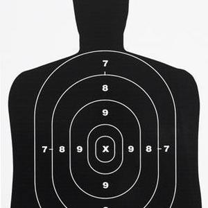 Birchwood Casey EZ Scorer BC27 Shadow Target, 12x18in, 10 Pack BC-37202