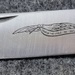 Parker & Son K404 Single-Blade Gunstock Folding Knife w/Smooth Bone Scales Japan