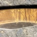 Schrade Old Timer 6OTW Golden Bear 8.7in S.S. Traditional Lockback Folding Knife