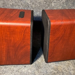Saiyin Bluetooth Bookshelf Speakers