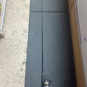 Zebco 33 Fishing Rod