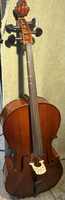 Palatino VC-455 Allegro Cello Outfit with Case, 4/4 Size