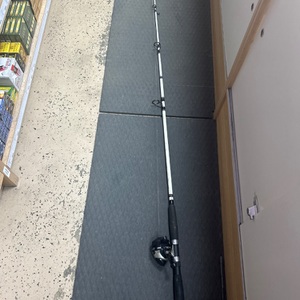 Zebco 606 Spincast Reel-Rod